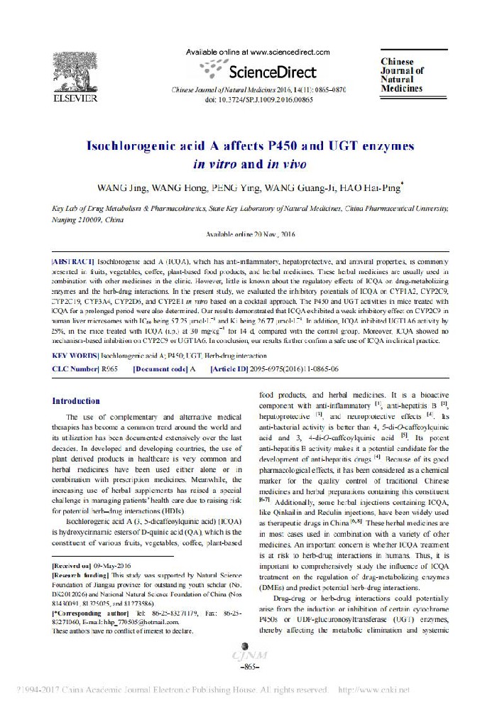 Isochlorogenic acid A affects P450 and UGT enzymes  in vitro and in vivo